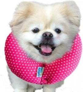 puppy-bumpers-fence-blockers