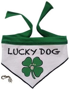 lucky-dog-bandana-scarf