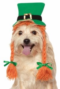rubies-st-pattys-day-girl-dog-costume