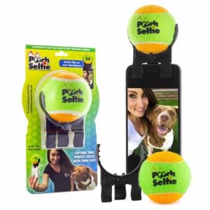 pooch-selfie-stick