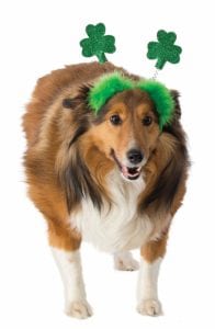dog-cat-shamrock-boppers