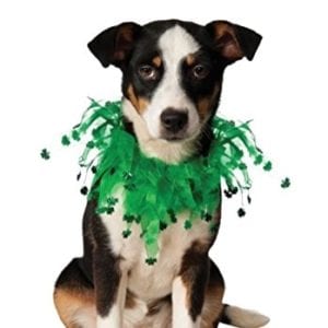 st-patricks-day-fancy-dog-collar