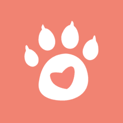twin-dog-app