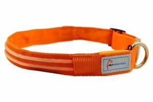 Pet Industries Metal Buckle LED Dog Collar