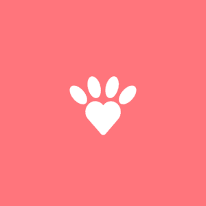 dog-date-afternoon