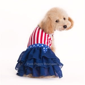 american-girl-dress-dog-costume