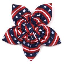pet-dog-collar-flower
