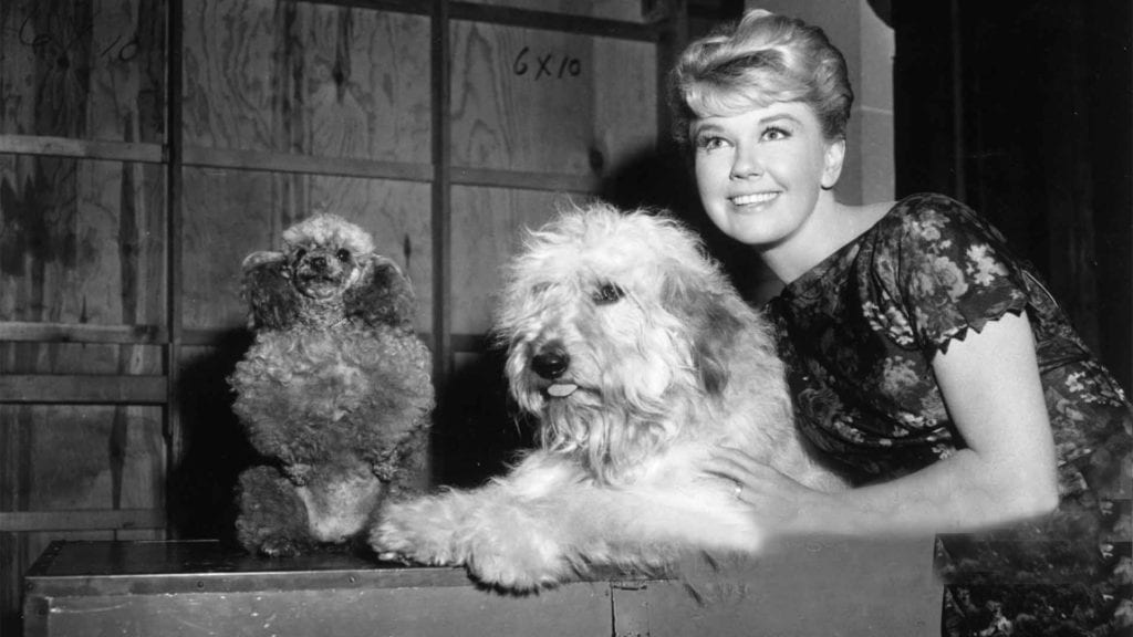 doris-day-holding-cute-dog