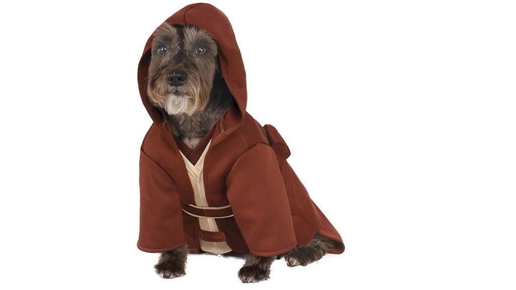 dog-wearing-jedi-costume