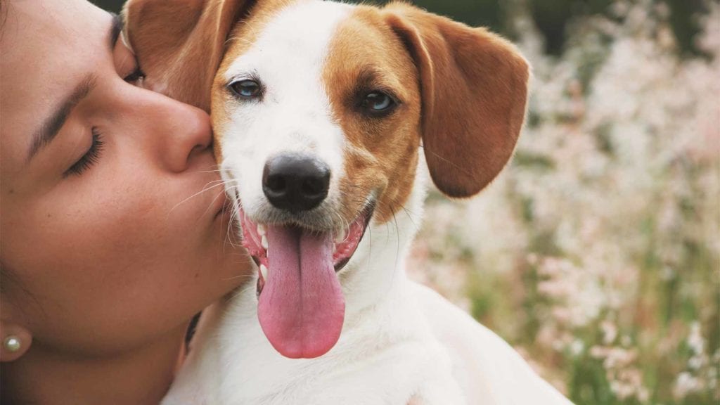 woman-kissing-puppy